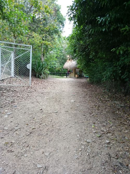 Finca en venta en La chica, Tierralta - Miniatura 21