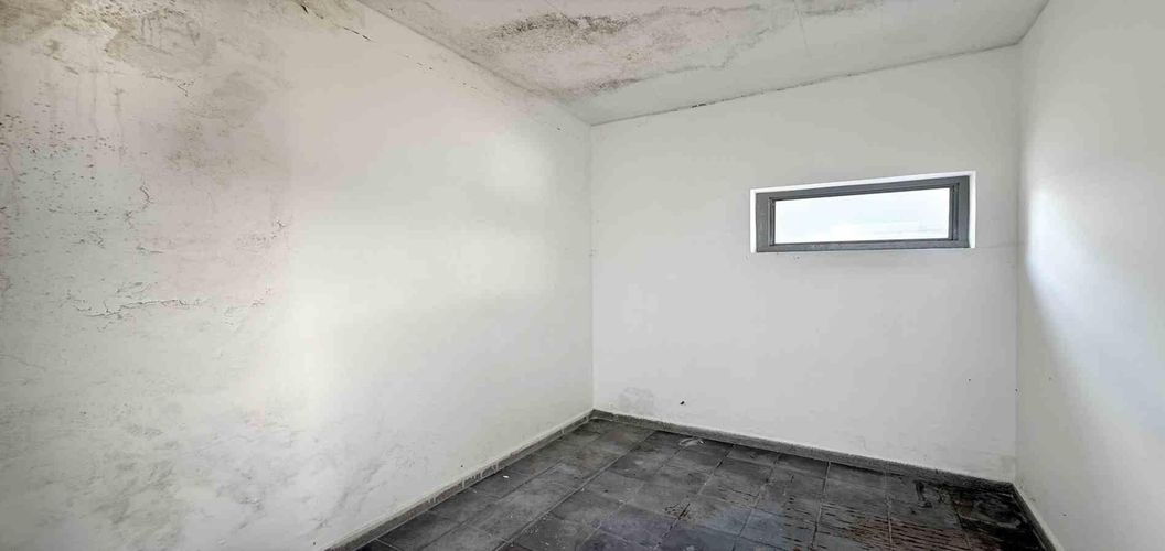 Casa en Arriendo en Pinares, Pereira - Miniatura 22