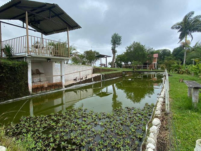 Finca en  Arriendo en Filandia - Miniatura 2