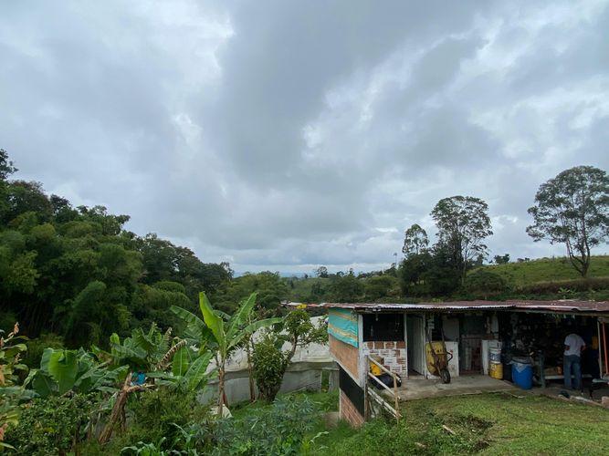 Finca en  Arriendo en Filandia - Miniatura 4