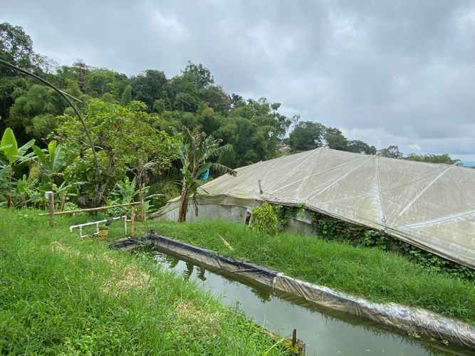Finca en  Arriendo en Filandia - Miniatura 5