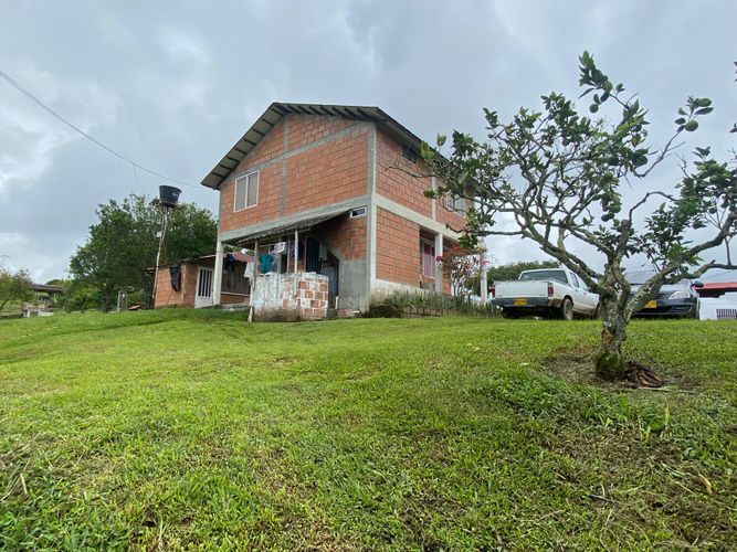 Finca en  Arriendo en Filandia - Miniatura 7