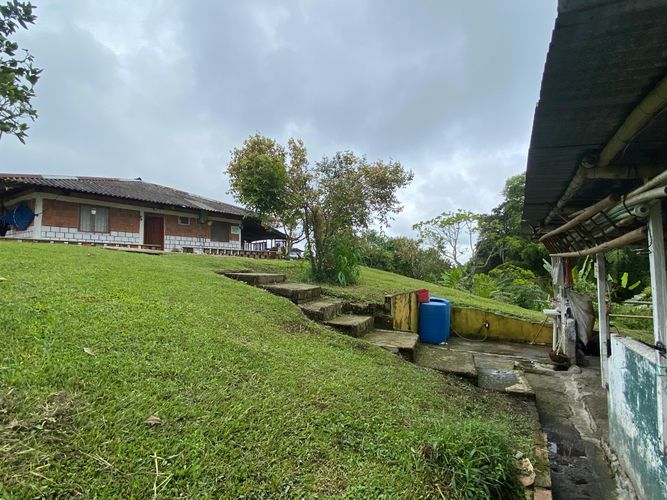 Finca en  Arriendo en Filandia - Miniatura 8