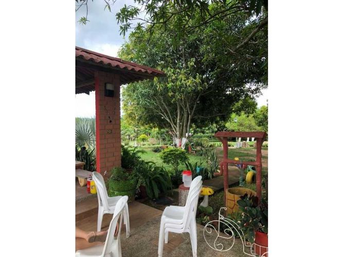 Finca en  Venta en Santo Tomás, Santo tomas - Miniatura 3