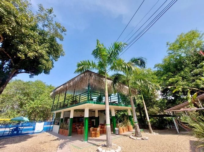 Finca en Venta en Carmen de Apicalá - Imagen 1