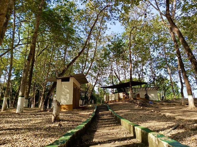 Finca en Venta en Carmen de Apicalá - Miniatura 18