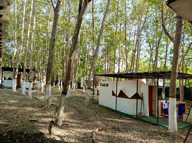 Finca en Venta en Carmen de Apicalá - Miniatura 19