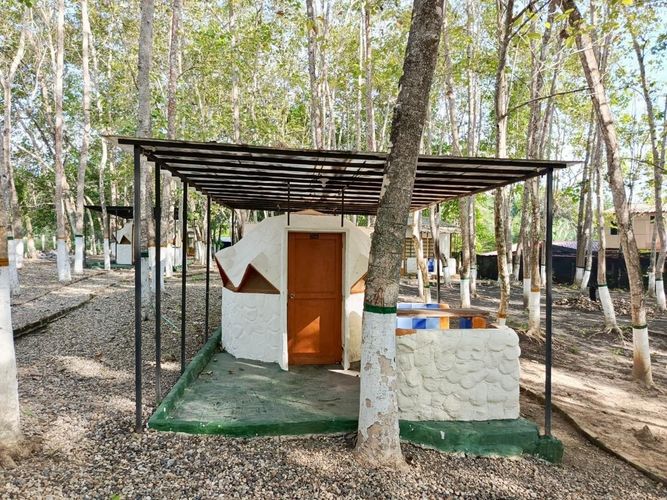 Finca en Venta en Carmen de Apicalá - Miniatura 20