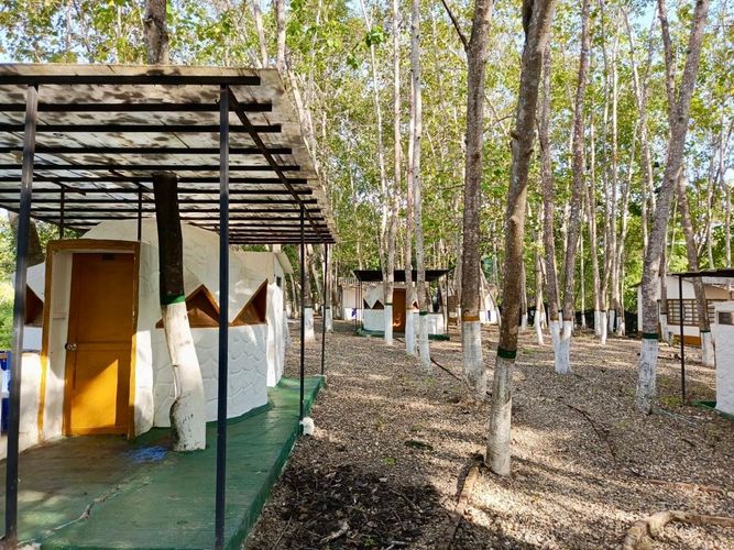 Finca en Venta en Carmen de Apicalá - Miniatura 26