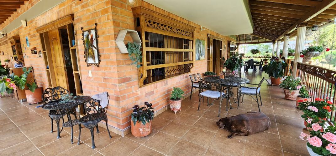 Finca en Arriendo en La calda, Barbosa - Miniatura 12