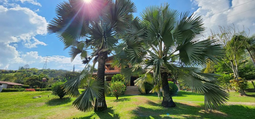 Finca en Arriendo en La calda, Barbosa - Miniatura 13