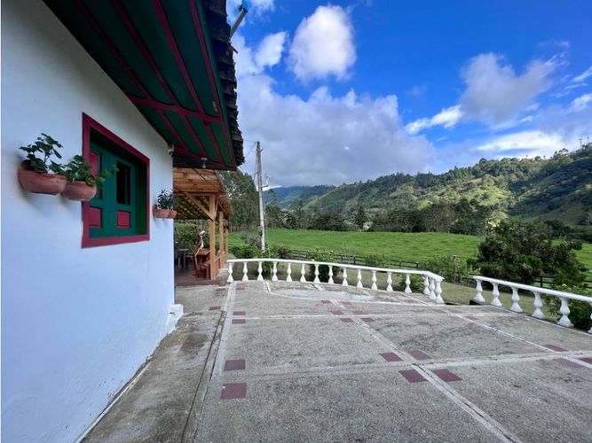 Finca en Venta en Salento - Miniatura 4