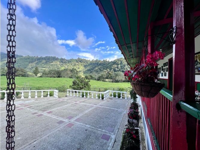 Finca en Venta en Salento - Miniatura 5