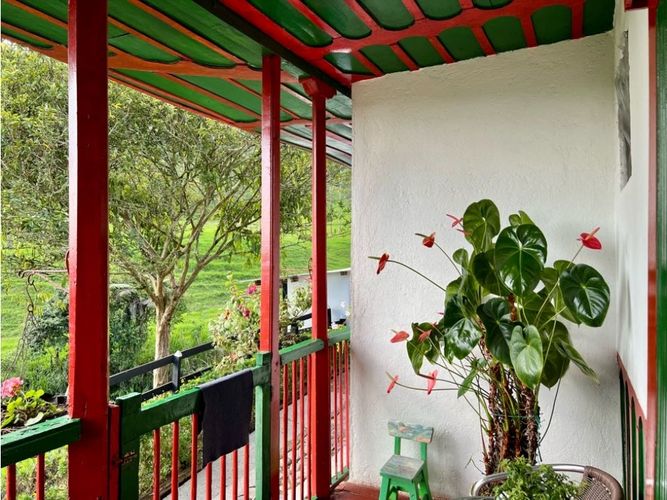 Finca en Venta en Salento - Miniatura 10