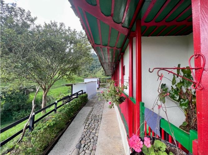 Finca en Venta en Salento - Miniatura 13