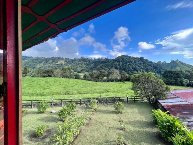 Finca en Venta en Salento - Miniatura 21