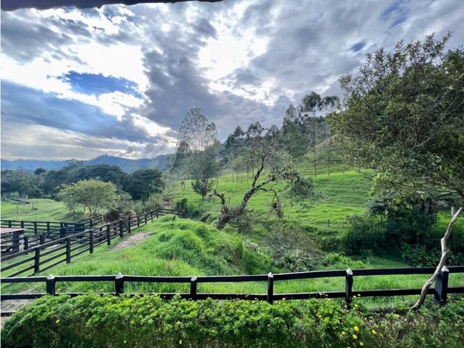 Finca en Venta en Salento - Miniatura 22