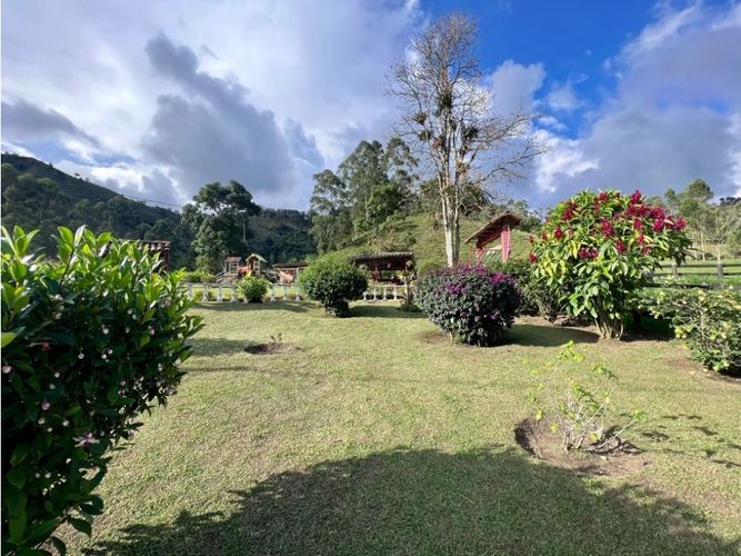 Finca en Venta en Salento - Miniatura 23