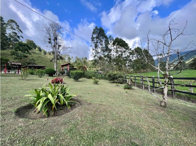 Finca en Venta en Salento - Miniatura 24