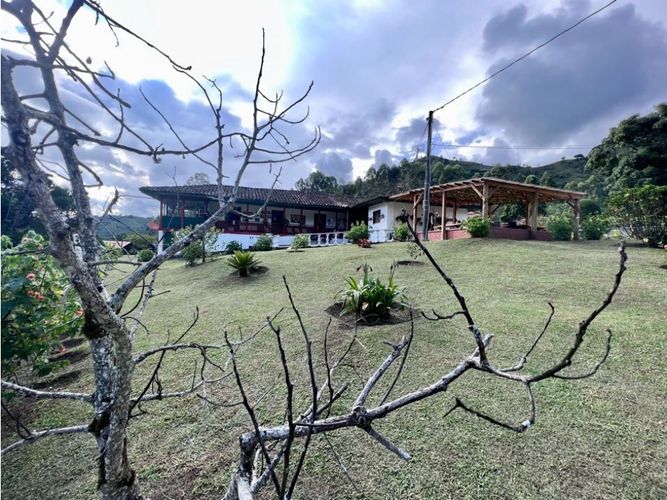 Finca en Venta en Salento - Miniatura 26