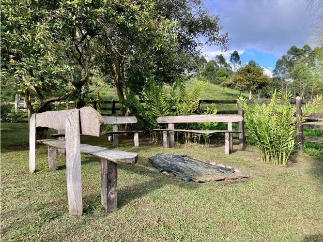 Finca en Venta en Salento - Miniatura 29