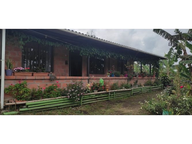 Finca en  Venta en Barcelona alta, Circasia - Imagen 1