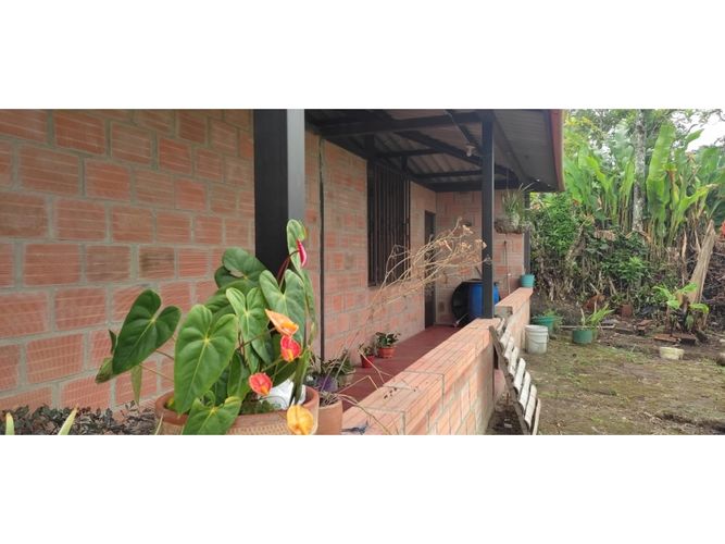 Finca en  Venta en Barcelona alta, Circasia - Miniatura 3