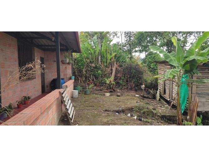 Finca en  Venta en Barcelona alta, Circasia - Miniatura 4