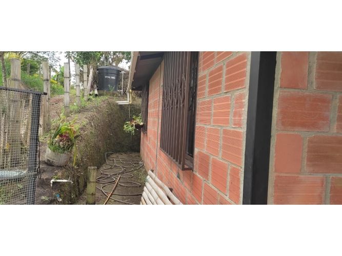Finca en  Venta en Barcelona alta, Circasia - Miniatura 5