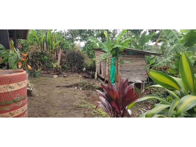 Finca en  Venta en Barcelona alta, Circasia - Miniatura 6