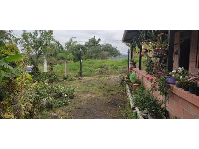 Finca en  Venta en Barcelona alta, Circasia - Miniatura 7
