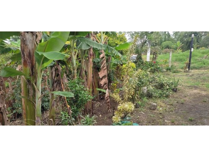 Finca en  Venta en Barcelona alta, Circasia - Miniatura 19