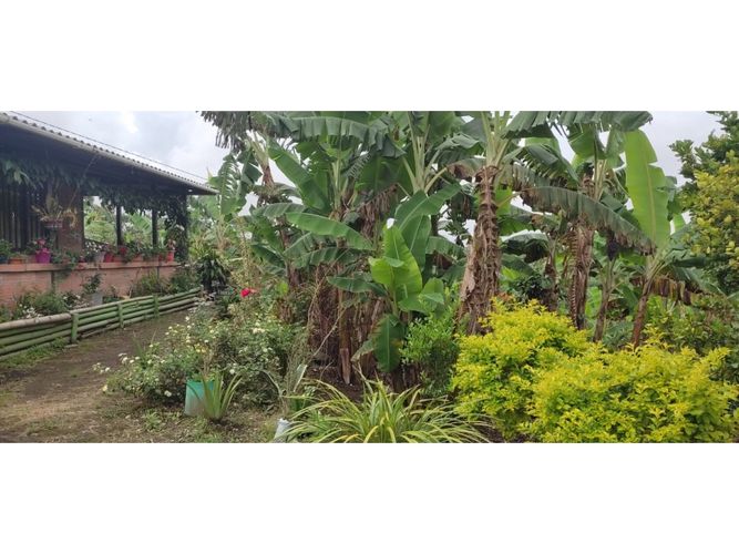 Finca en  Venta en Barcelona alta, Circasia - Miniatura 20