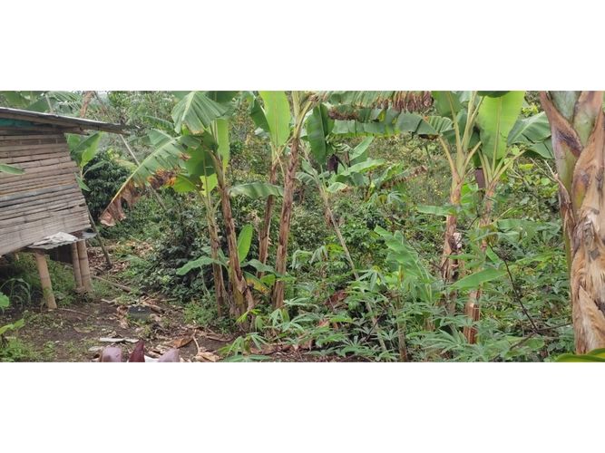 Finca en  Venta en Barcelona alta, Circasia - Miniatura 21