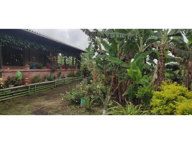 Finca en  Venta en Barcelona alta, Circasia - Miniatura 22