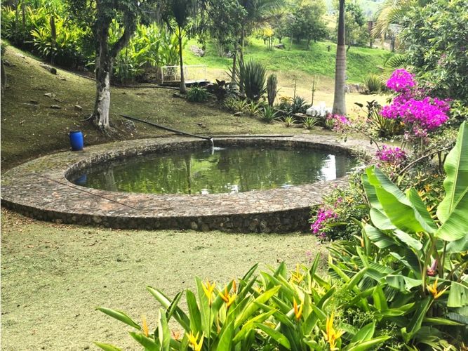 Finca en  Venta en Copacabana - Miniatura 6