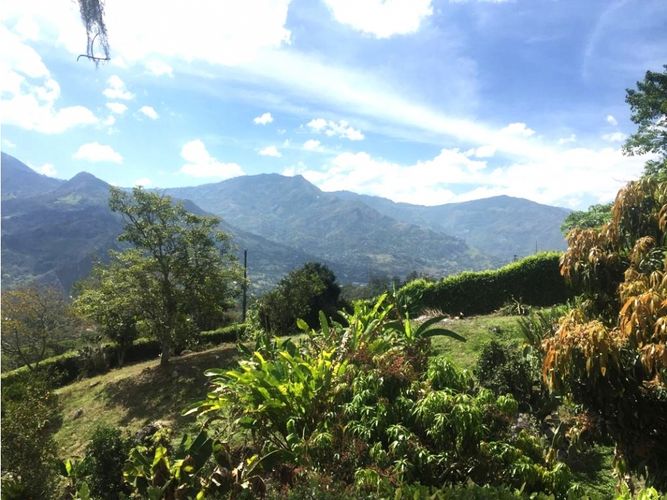 Finca en  Venta en Copacabana - Miniatura 9