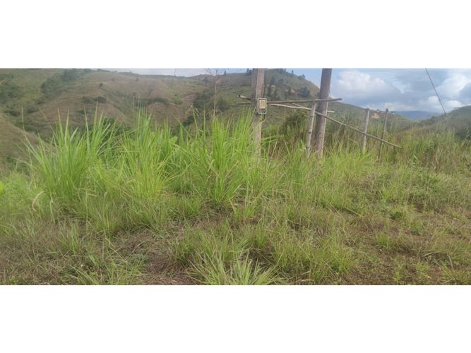 Finca en  Venta en Dagua - Miniatura 11