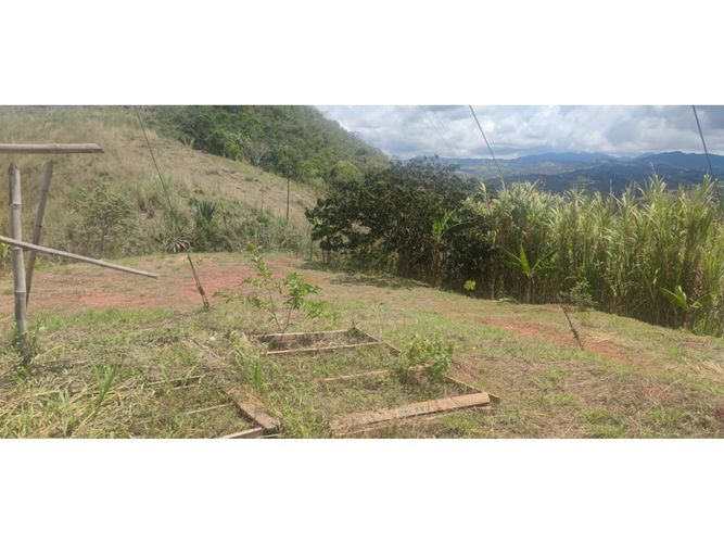 Finca en  Venta en Dagua - Miniatura 12