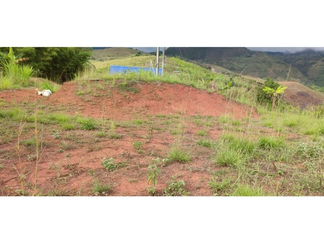 Finca en  Venta en Dagua - Miniatura 13