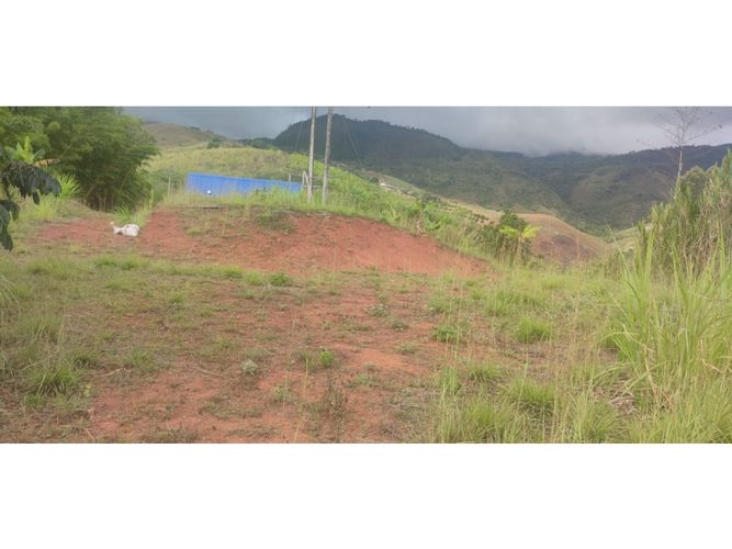 Finca en  Venta en Dagua - Miniatura 15