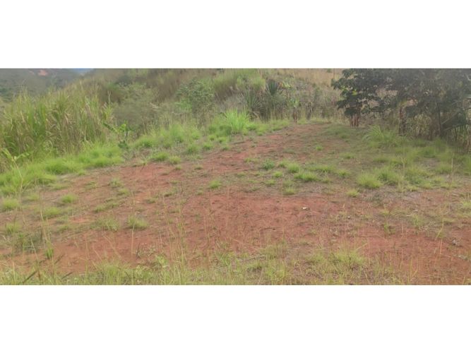Finca en  Venta en Dagua - Miniatura 16