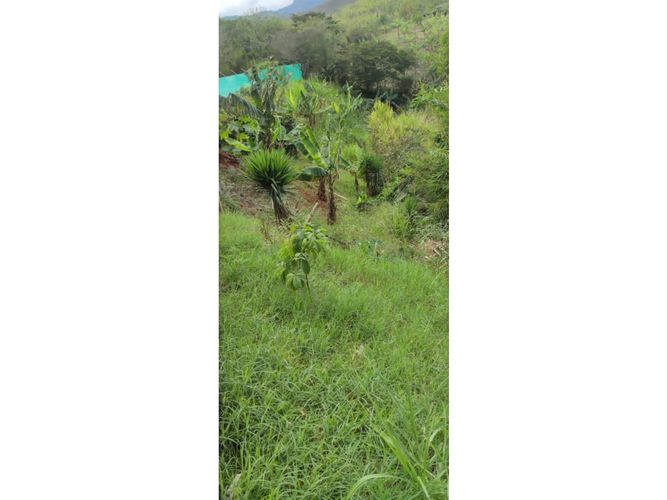 Finca en  Venta en Dagua - Miniatura 19
