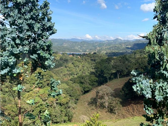 Finca en  Venta en El Retiro - Miniatura 6