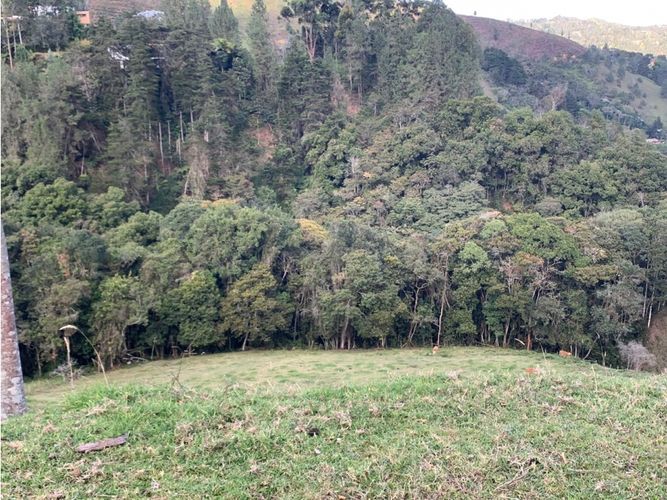 Finca en  Venta en El Retiro - Miniatura 8