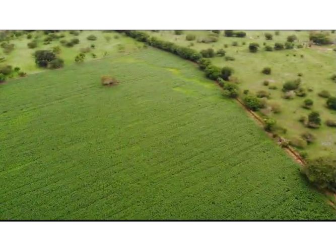 Finca en  Venta en Purisima - Miniatura 2