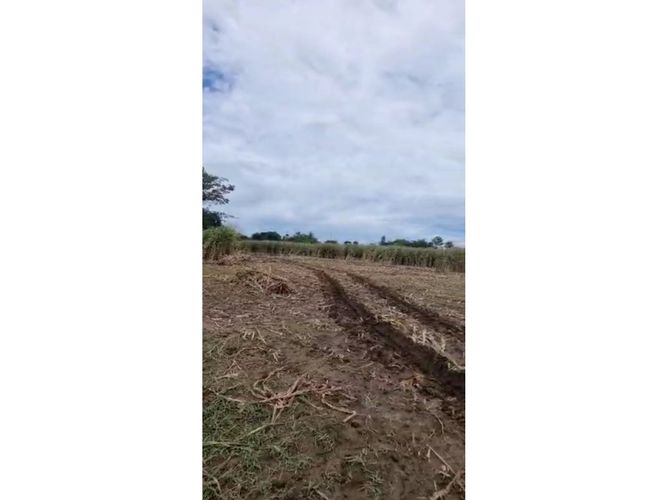Finca en  Venta en Purisima - Miniatura 3