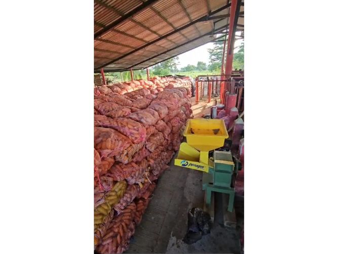 Finca en  Venta en Purisima - Miniatura 5