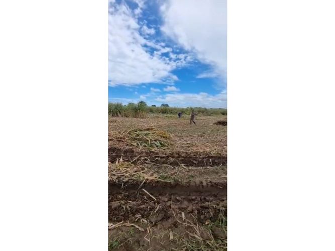 Finca en  Venta en Purisima - Miniatura 6