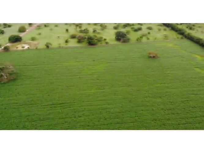 Finca en  Venta en Purisima - Miniatura 8